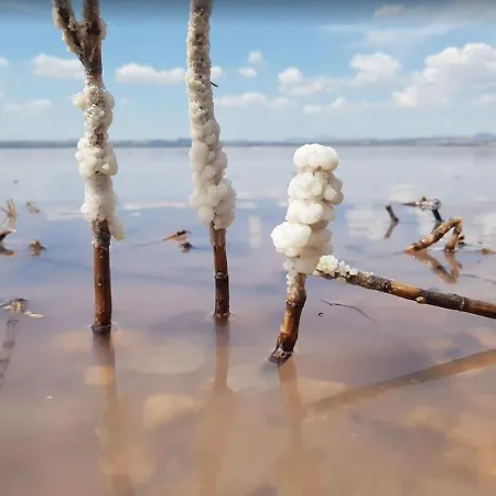 350 Meters From Playa Del Cura