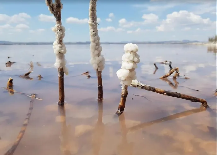 350 Meters From Playa Del Cura